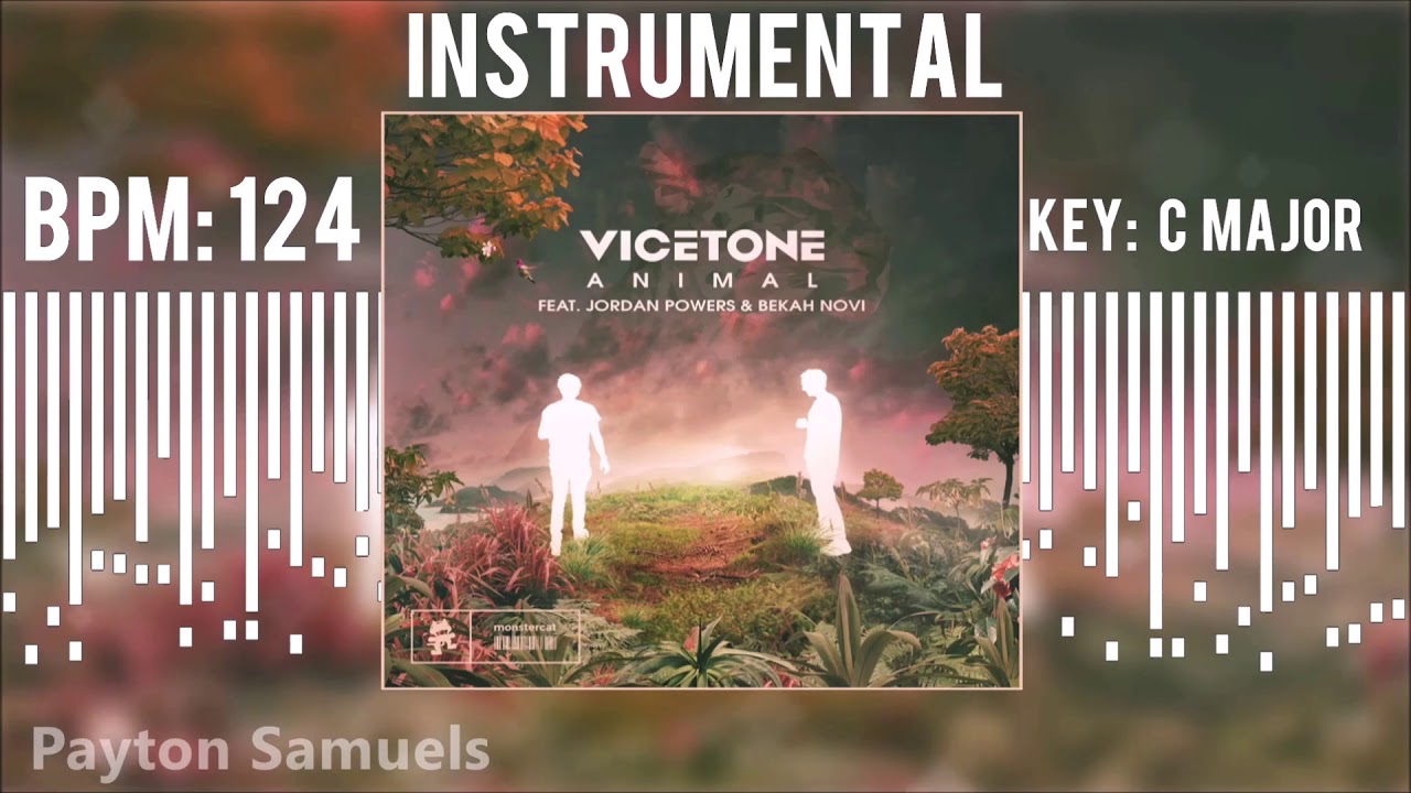 Vicetone feat. Jordan Powers & Bekah Novi - Animal (Instrumental)