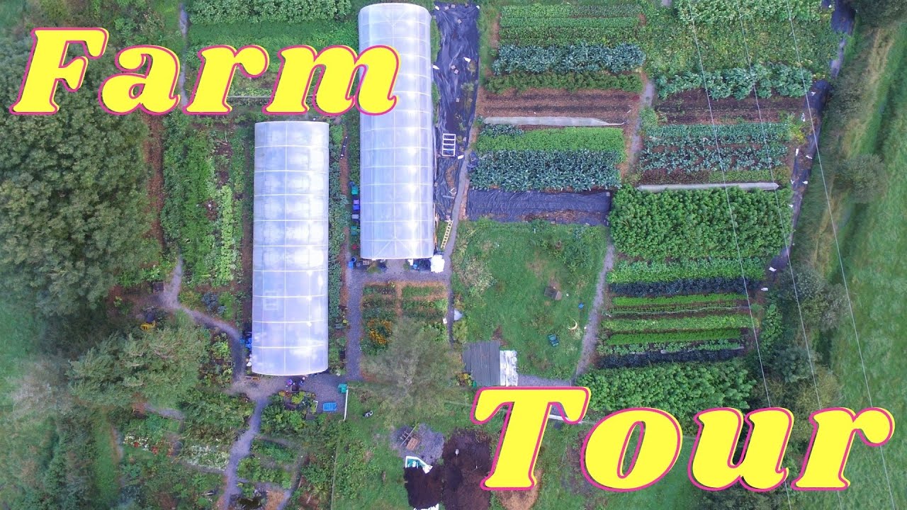 Farm & Market Garden Tour Year 2   The Bullaun Ark