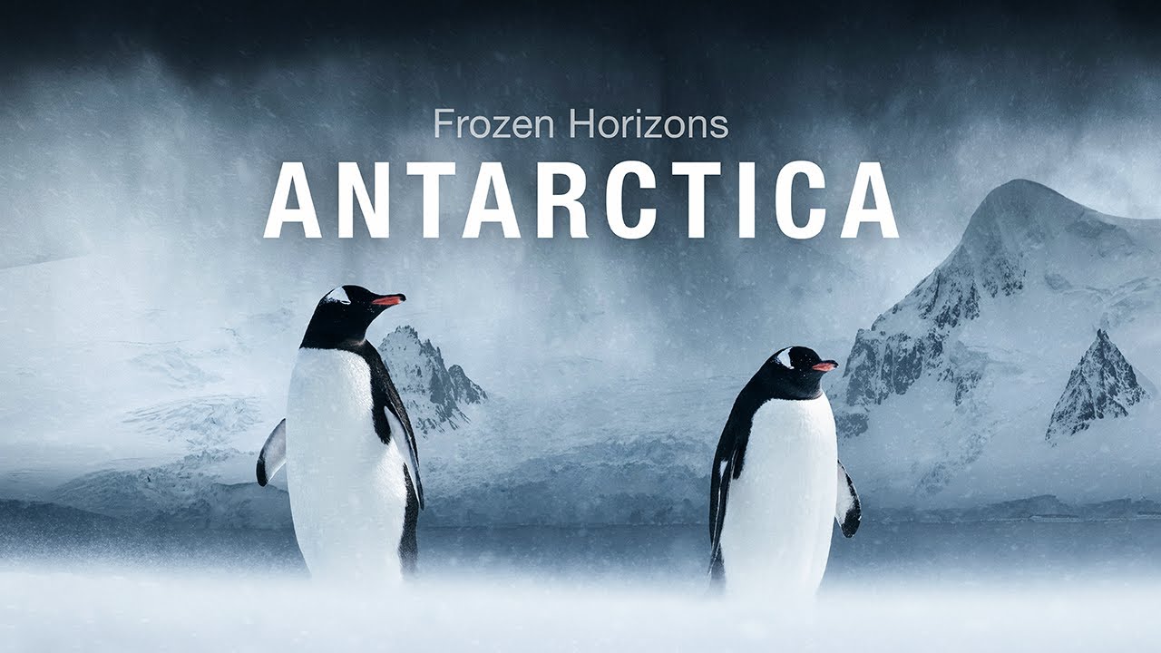 Frozen Horizons - ANTARCTICA | Shot on Canon EOS R5 C