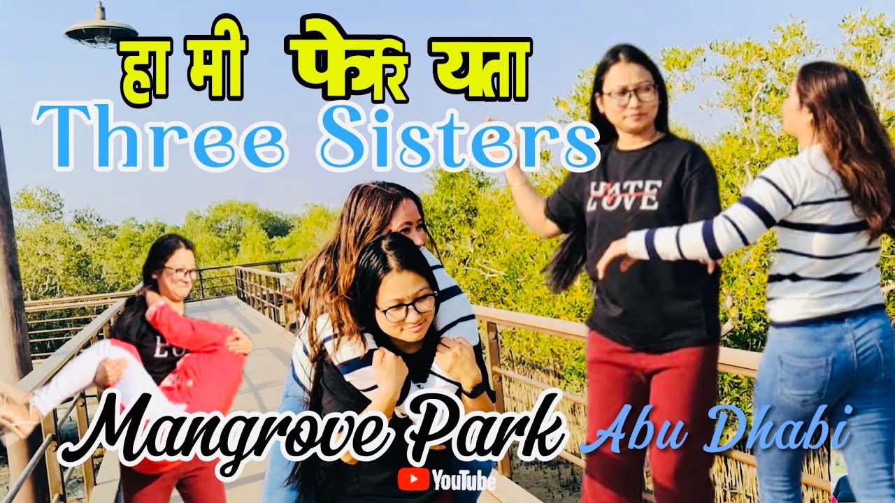 Mangrove Park in AbuDhabi l दिदी बैनि घुमघाम । 