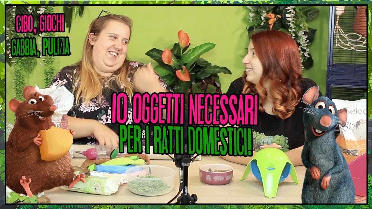 10 oggetti necessari per il RATTO DOMESTICO || Illogical Garden