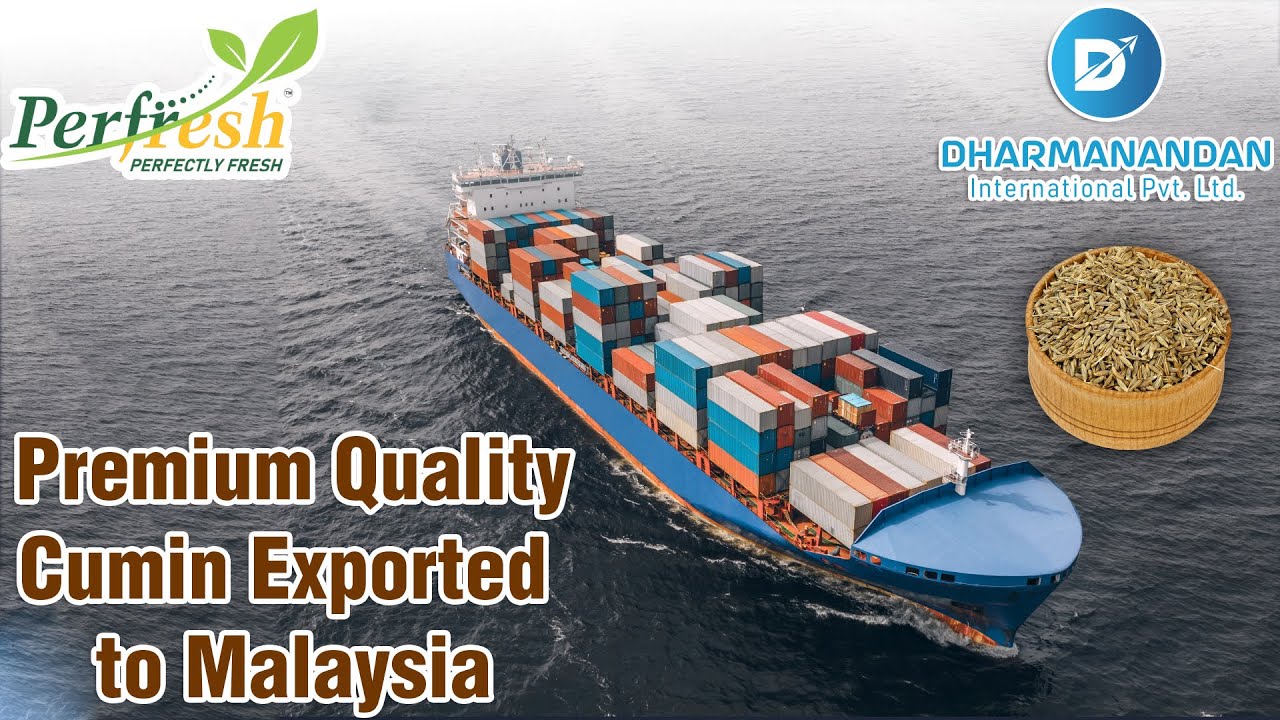 Premium Quality Cumin Seeds Exported to Malaysia | Indian Spices Export