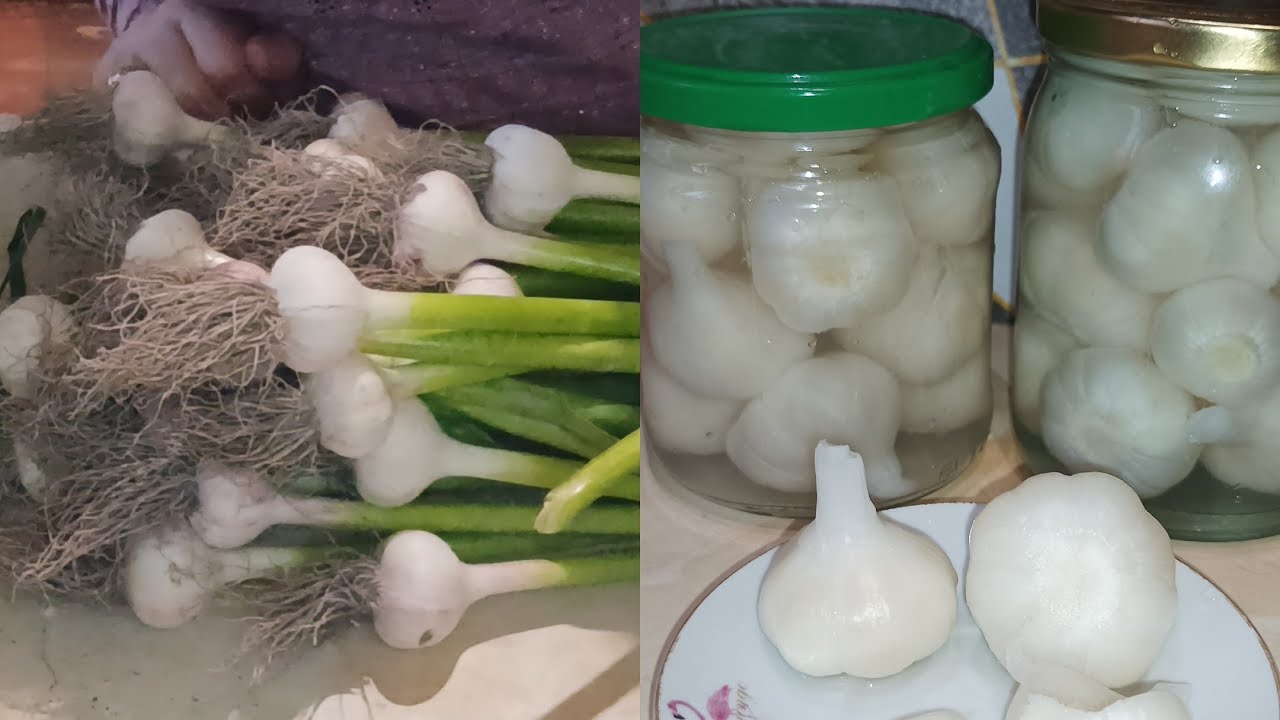 Չհասունացած #սխտորի# թթու։Как засолить молодой чеснок.Յուրահատուկ պատրաստման ընթացք։#խակ# սխտոր.