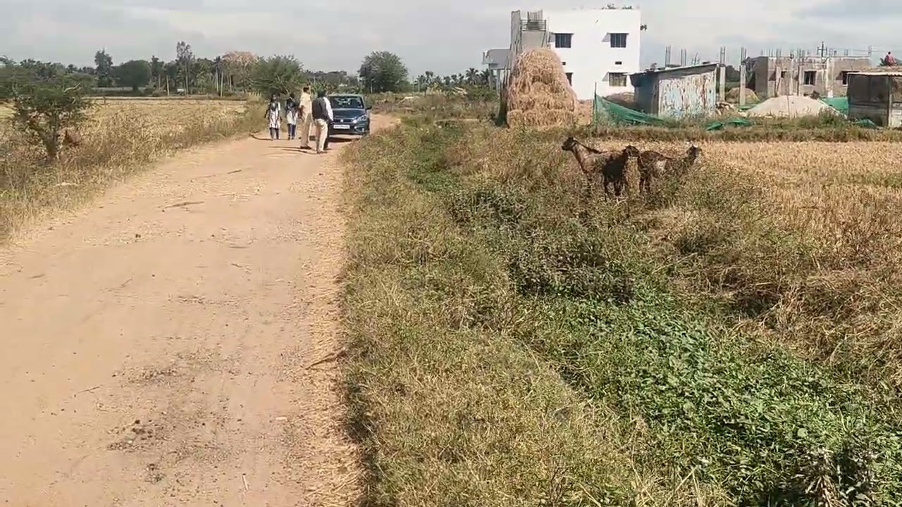 1.10GUNTS LAND SALE MUGUR 2KM NEAR TNARSIPURA 12KM MYSORE 42KM BANGALORE150KM PRICE 1.30L 9902421145