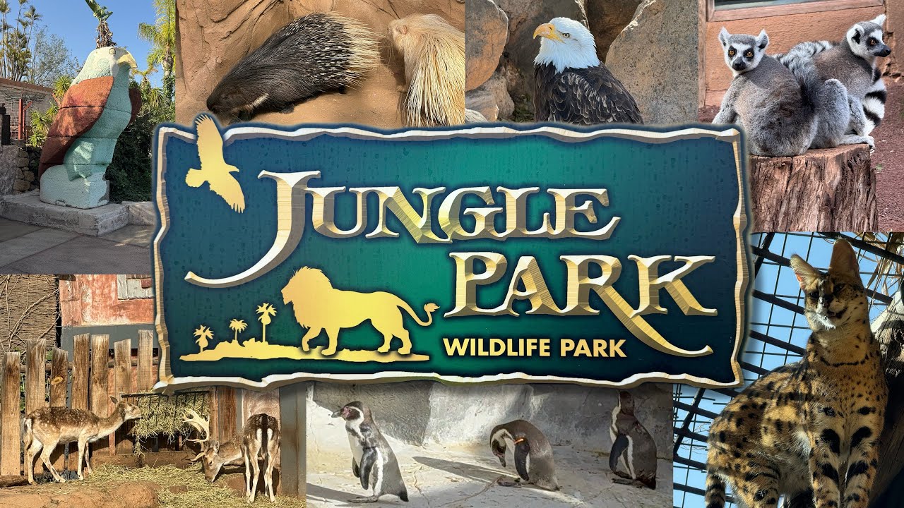 Tenerife - Jungle Park - Tour 🦅🐧🦜🦌🦔 4K HDR