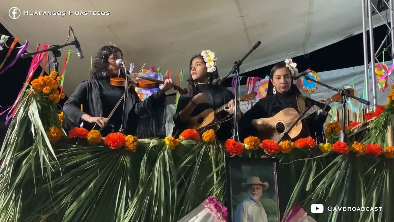 Trío Huasteco Las Amapolas - El Bejuquito, El Caimán y El Tepetzintleco