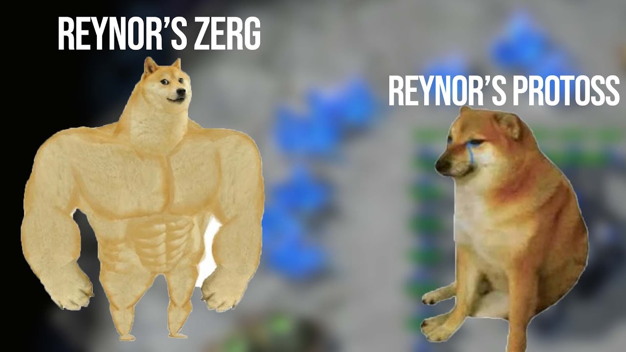 RACE Switching Reynor Gets TERRANED by Spirit | Reynor (Z/P) vs Spirit (T)