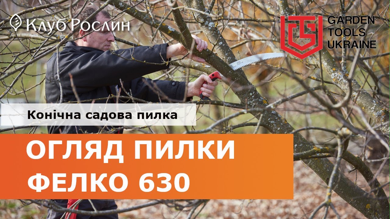 Felco 630: коническая садовая пила (Швейцария)