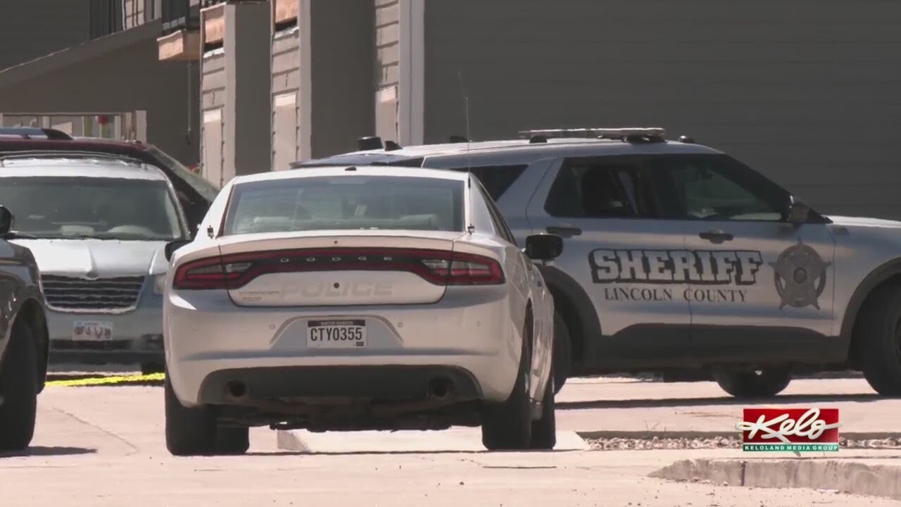 Day 2 of self-defense hearing in Tea man murder case