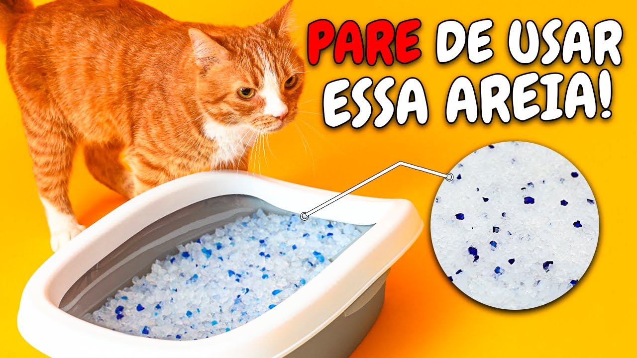 AREIA DE SÍLICA PARA GATOS | 3 COISAS que NUNCA TE CONTARAM sobre Usar SÍLICA nas Caixas de Areia!
