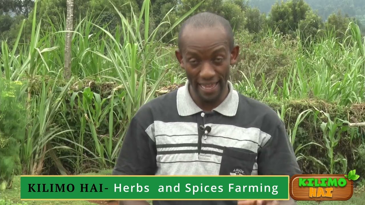 Herbs & Spices Farming PT.1