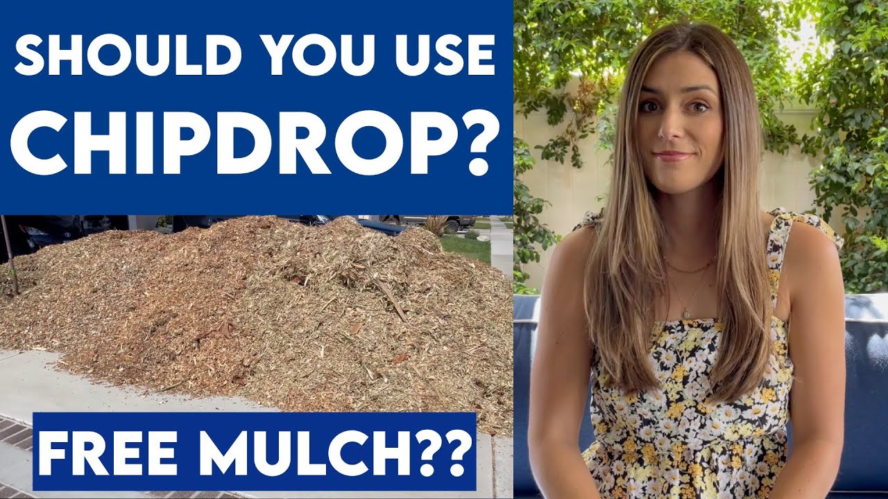 Бесплатная мульча от Chipdrop // Что вам нужно знать