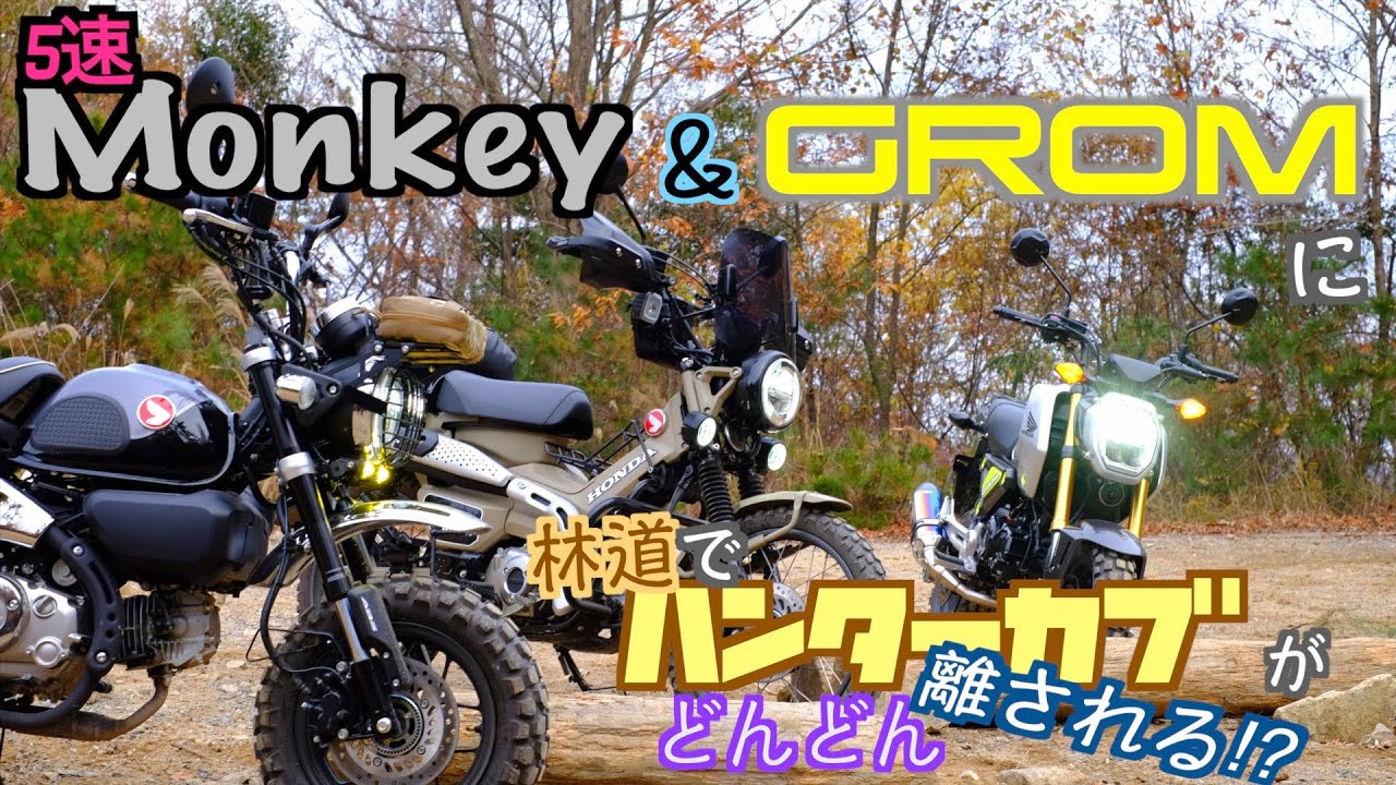 新型モンキー と グロム と 林道へ。まさかのハンターカブ が置いて行かれる⁉︎
