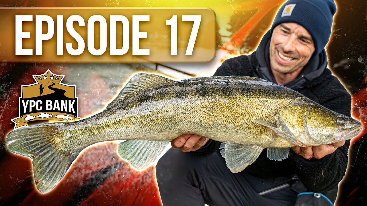 ENDLICH - die Fische bei&szlig;en wieder! | YPC Bank 2025 Episode 17