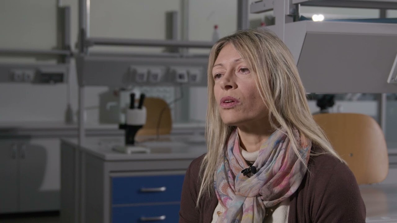 Biologia Marina Univpm: Cristina Di Camillo