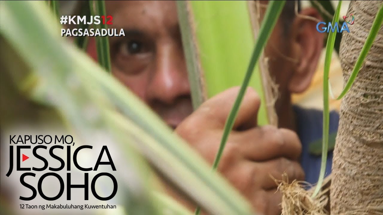 Kapuso Mo, Jessica Soho: Lalaking tatlong taong namalagi sa puno ng niyog, sinagip