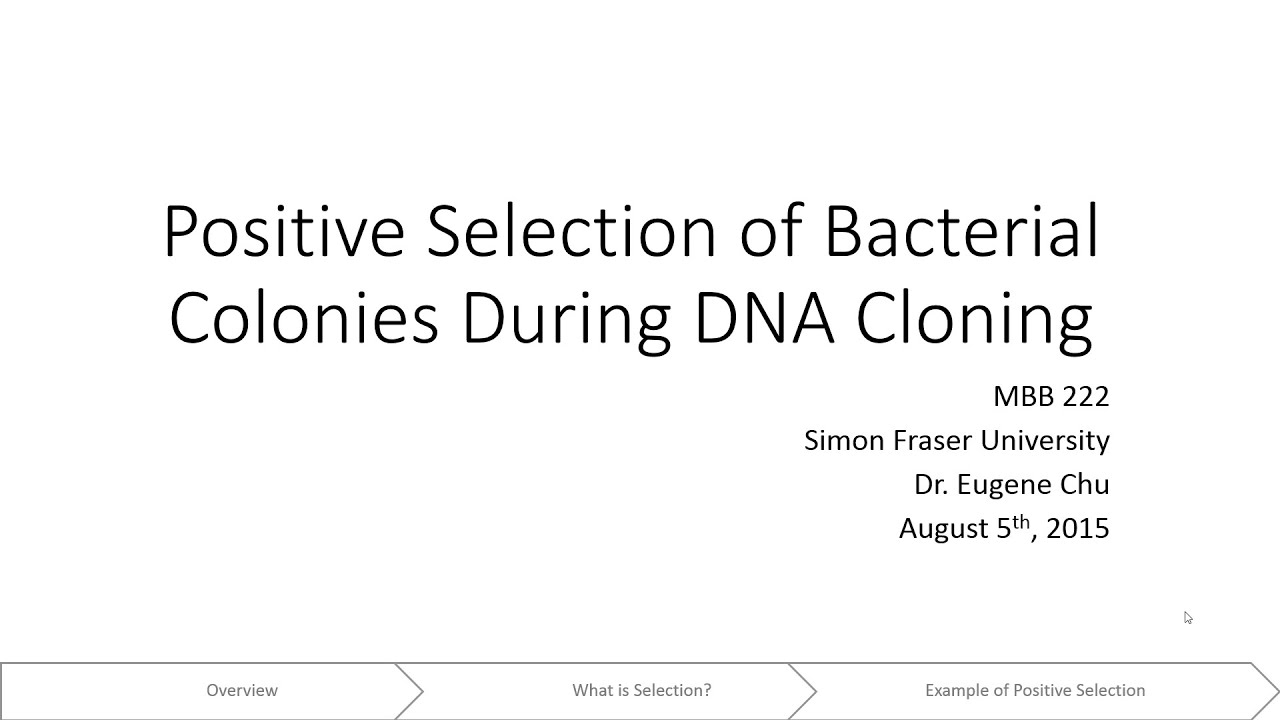 Positive selection