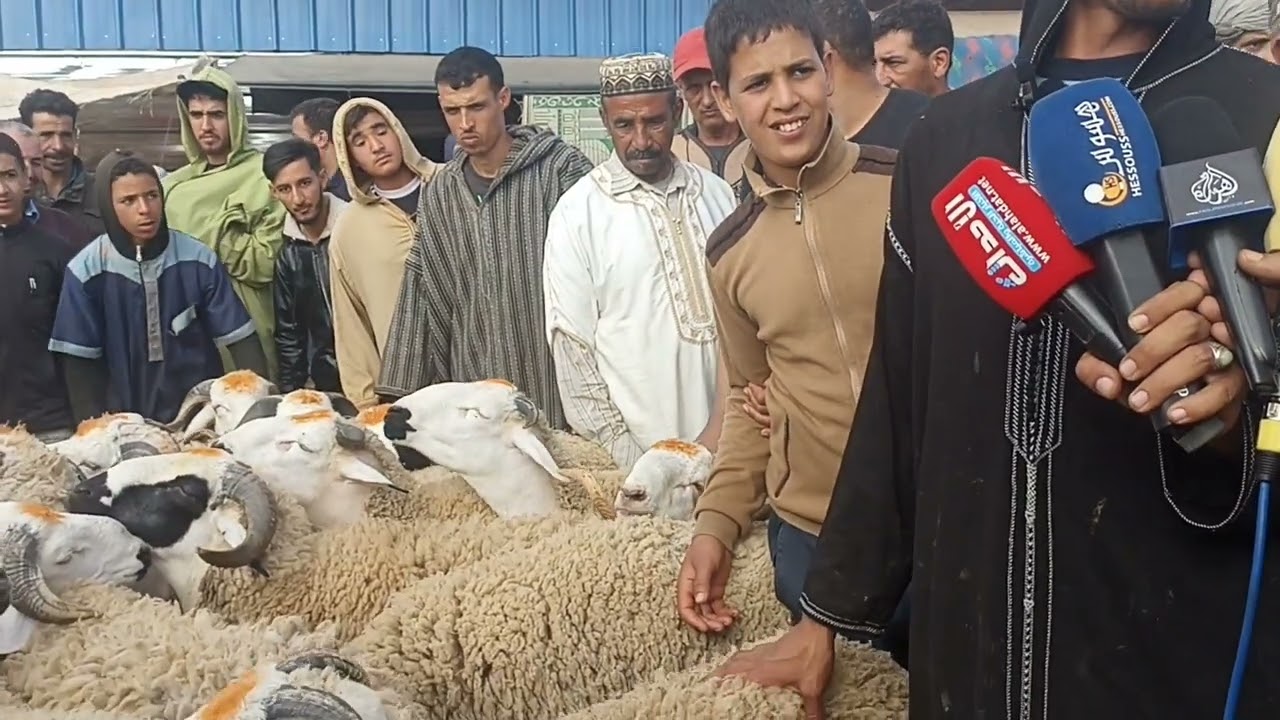 سوق الخميس هوارة 30/6/2022 شاهد اكبر عتروس