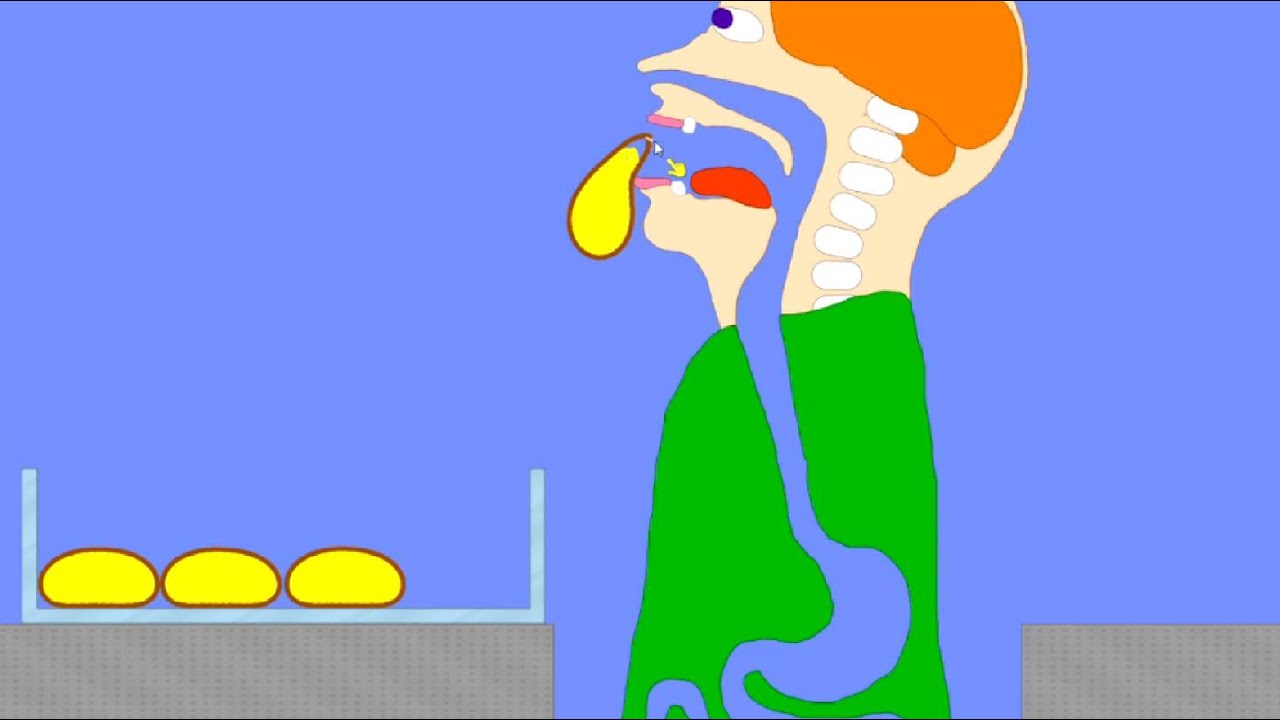 【Algodoo】Eat pudding.　プリンを食べる人