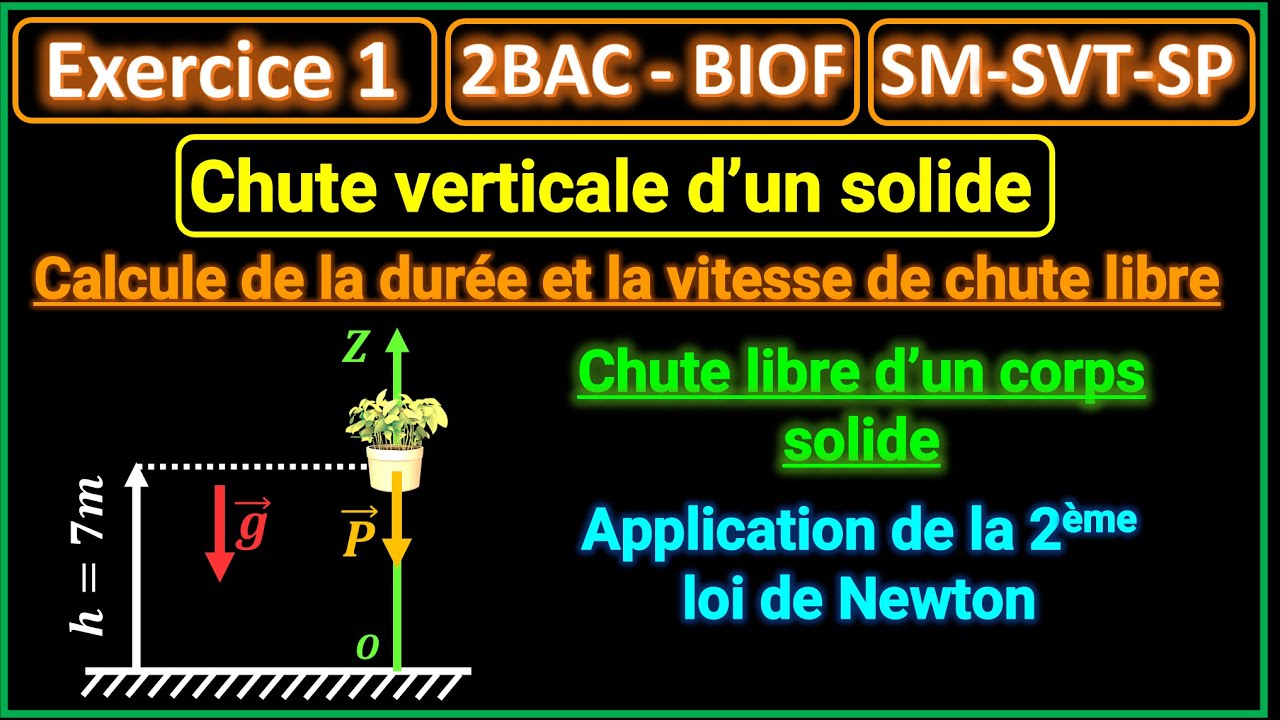 Exercice 1: Chute verticale (chute libre d'un corps solide sans frottement) || (2BAC BIOF)