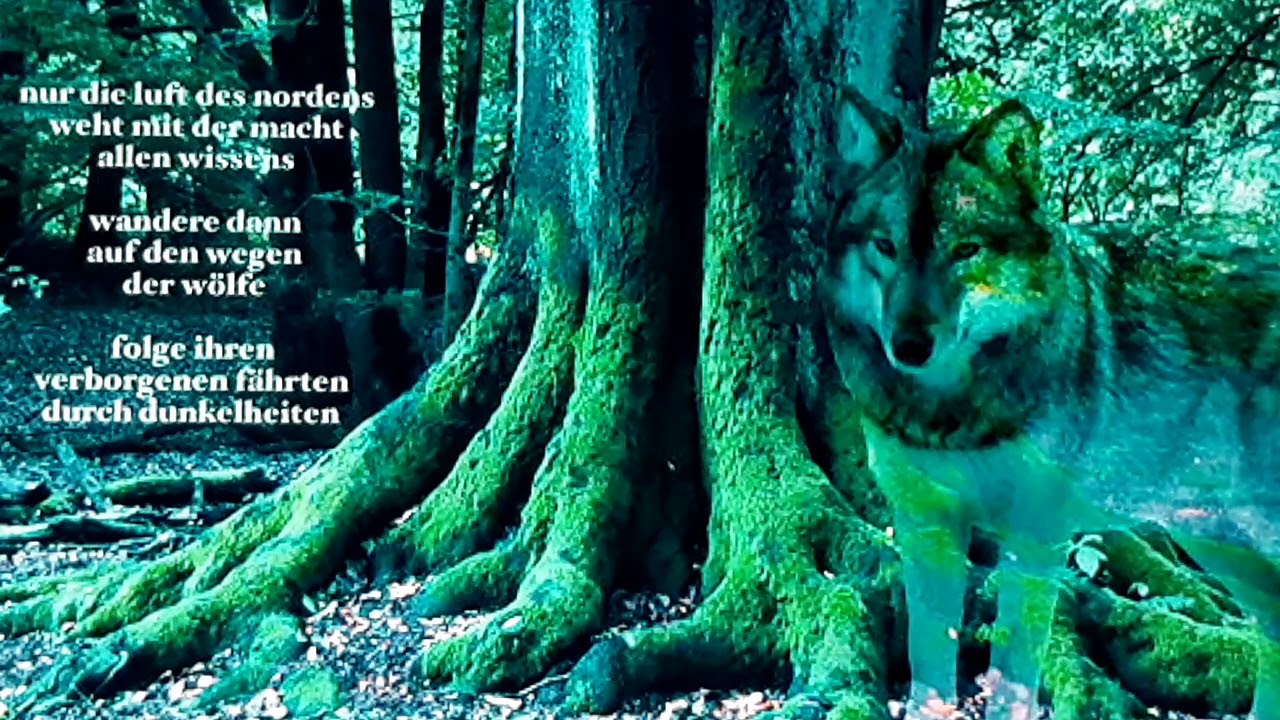 ᴋʀᴀꜰᴛᴛɪᴇʀ-ᴍᴇᴅɪᴛᴀᴛɪᴏɴ 