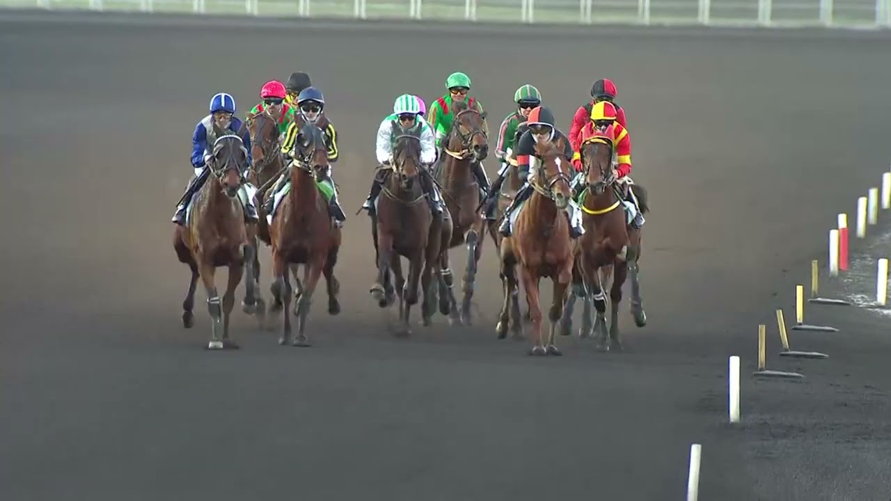 PRIX DU CALVADOS - CORNULIER RACES Q3 2026