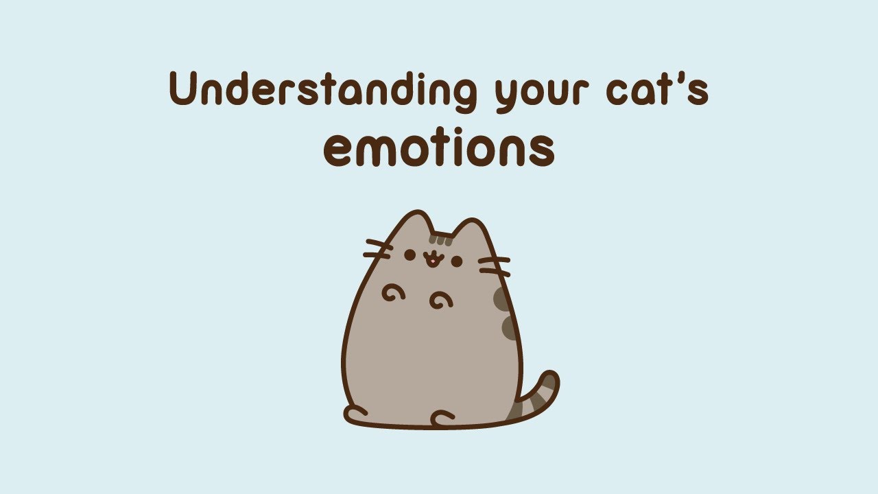 Pusheen: Understanding Your Cat's Emotions