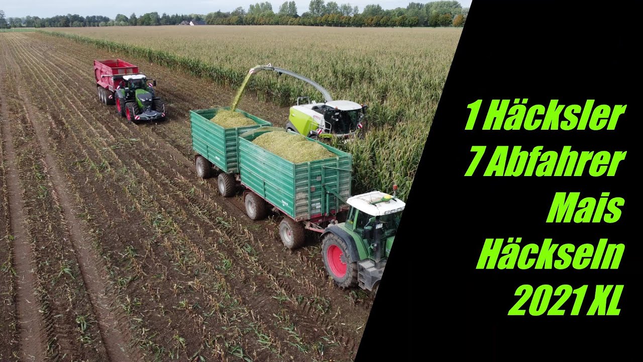 Maish&auml;ckseln 2021 XL | Agrargesellschaft Kandelin mbH