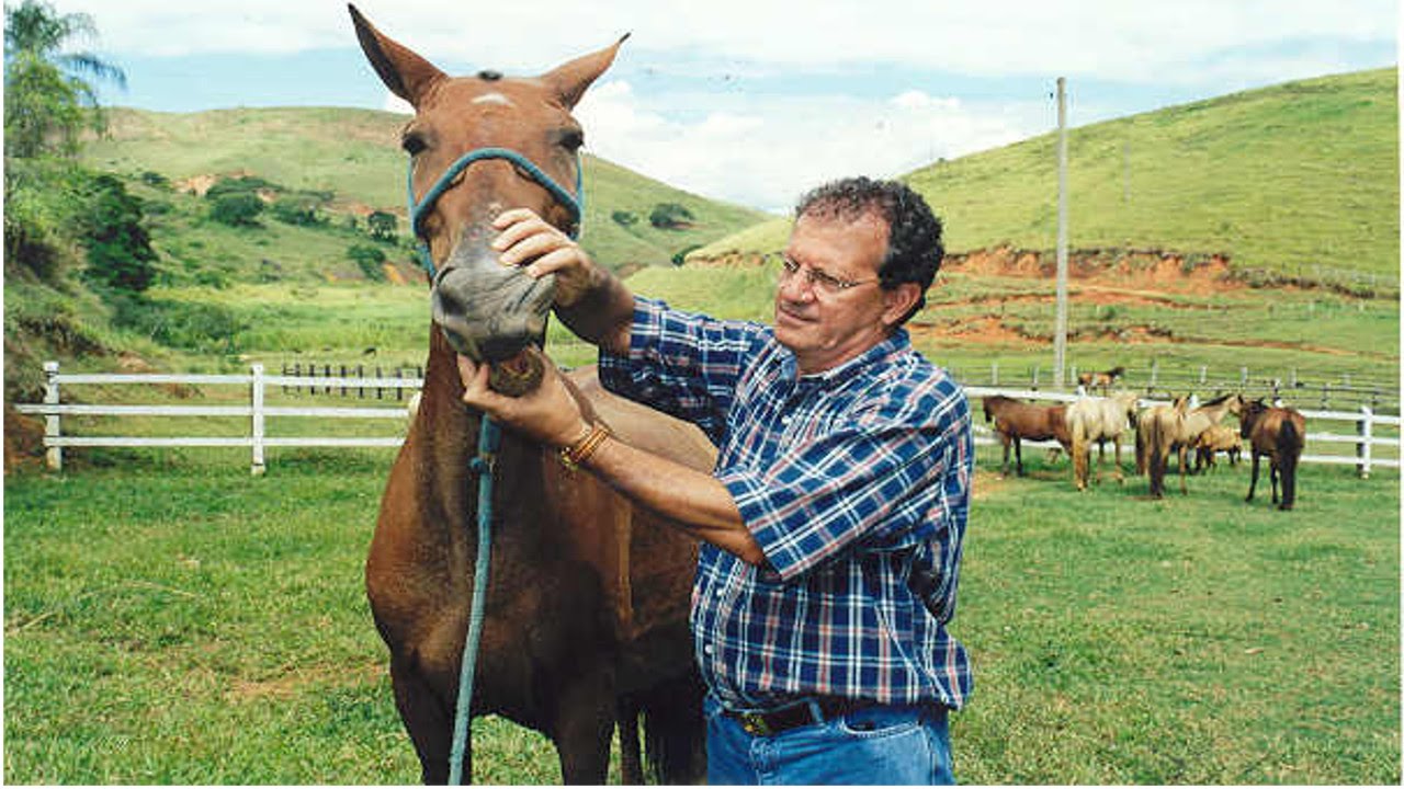 Curso Enquanto o Veterinário Não Chega - Atendimento a Equinos - Cursos CPT
