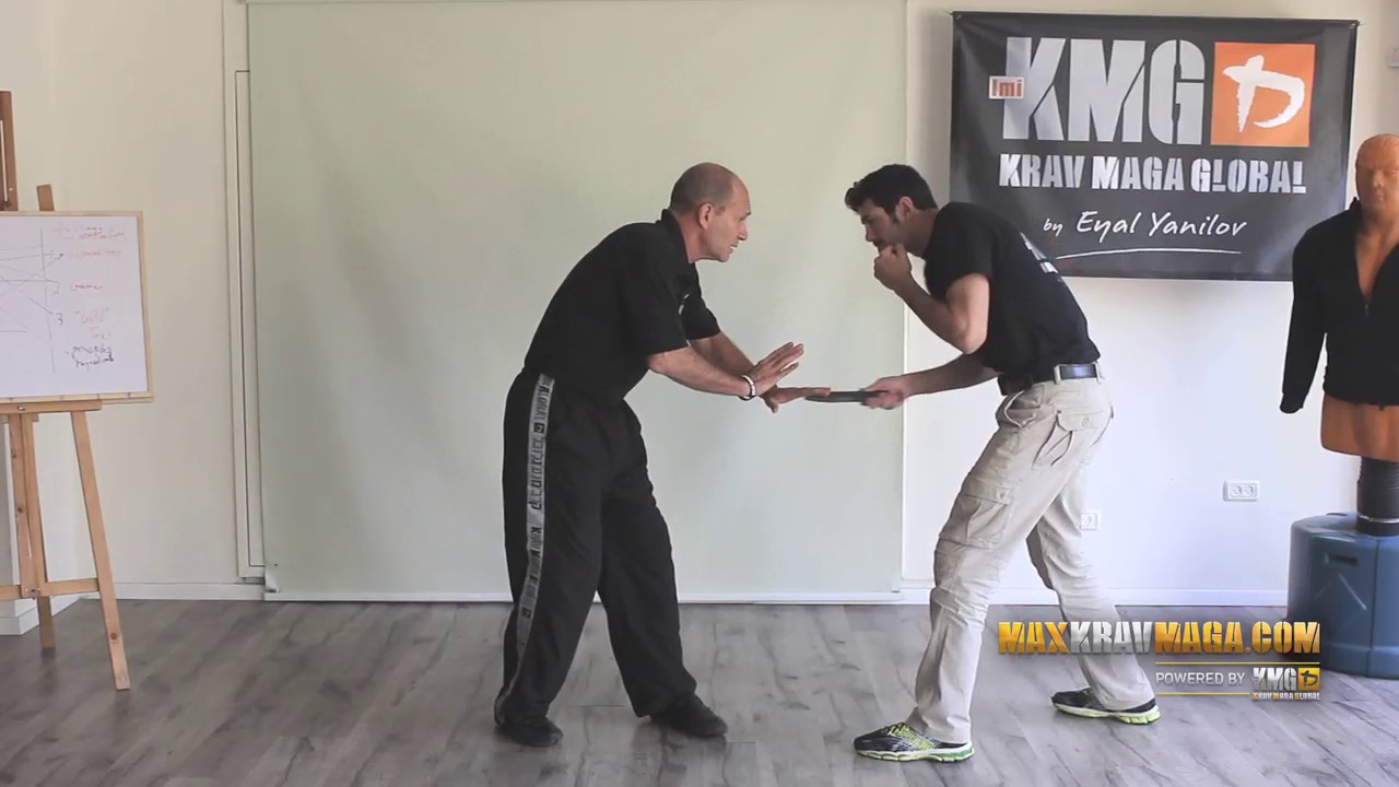 Eyal's Technique Review of the Week (Preview) - Defense Against a Low Straight Stab from the Side