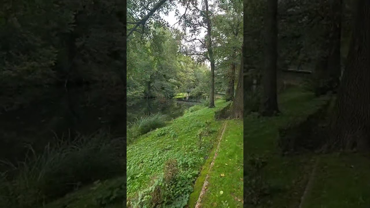 Jungferheide Park gezinti