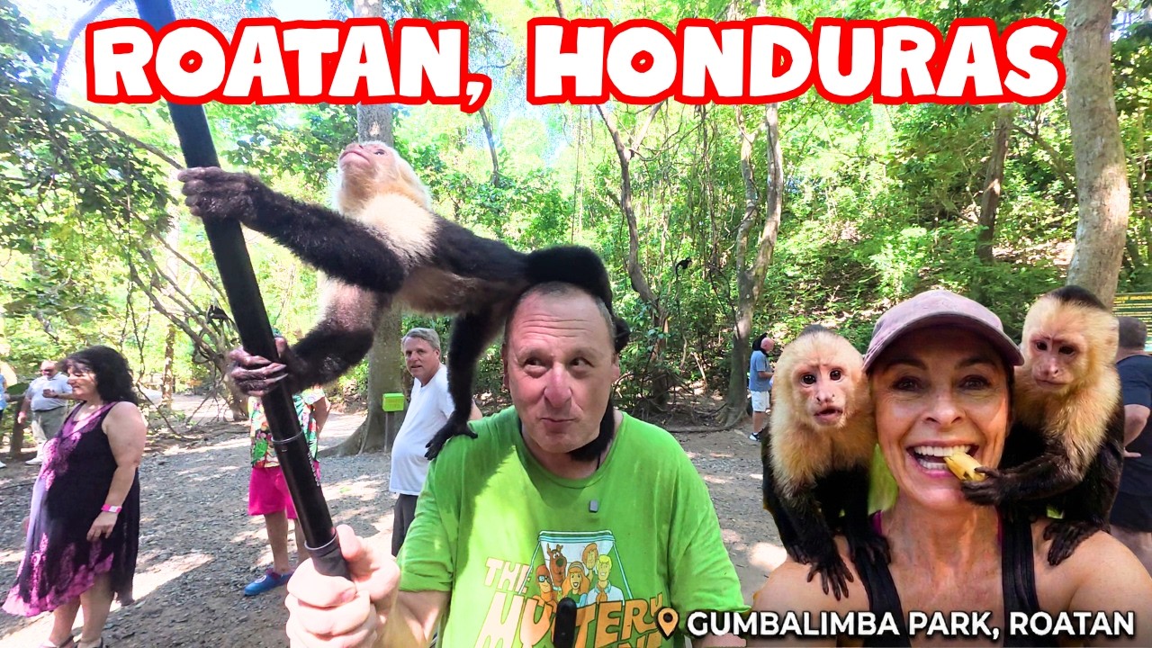 Roatan's Famous Free-Roaming Monkeys! Gumbalimba Park + The Fastest Zipline!