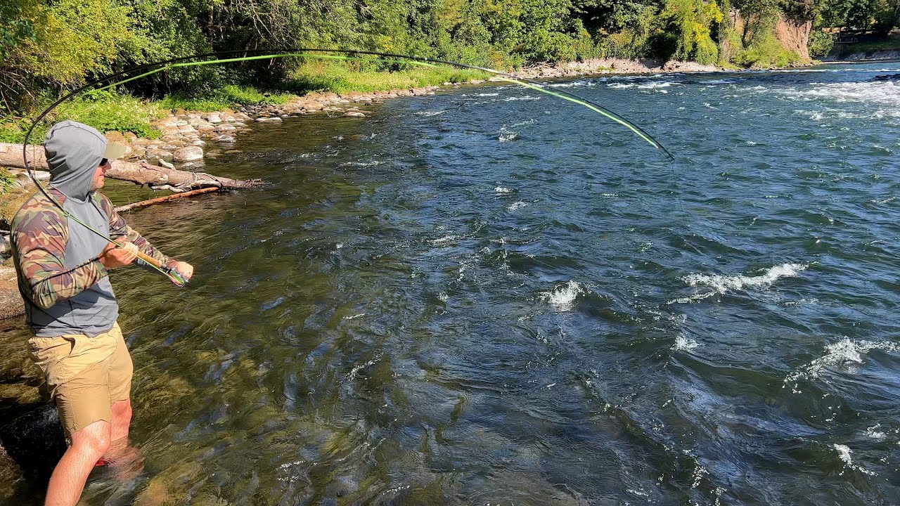 Trout Spey - Hunting Down A Big Rainbow