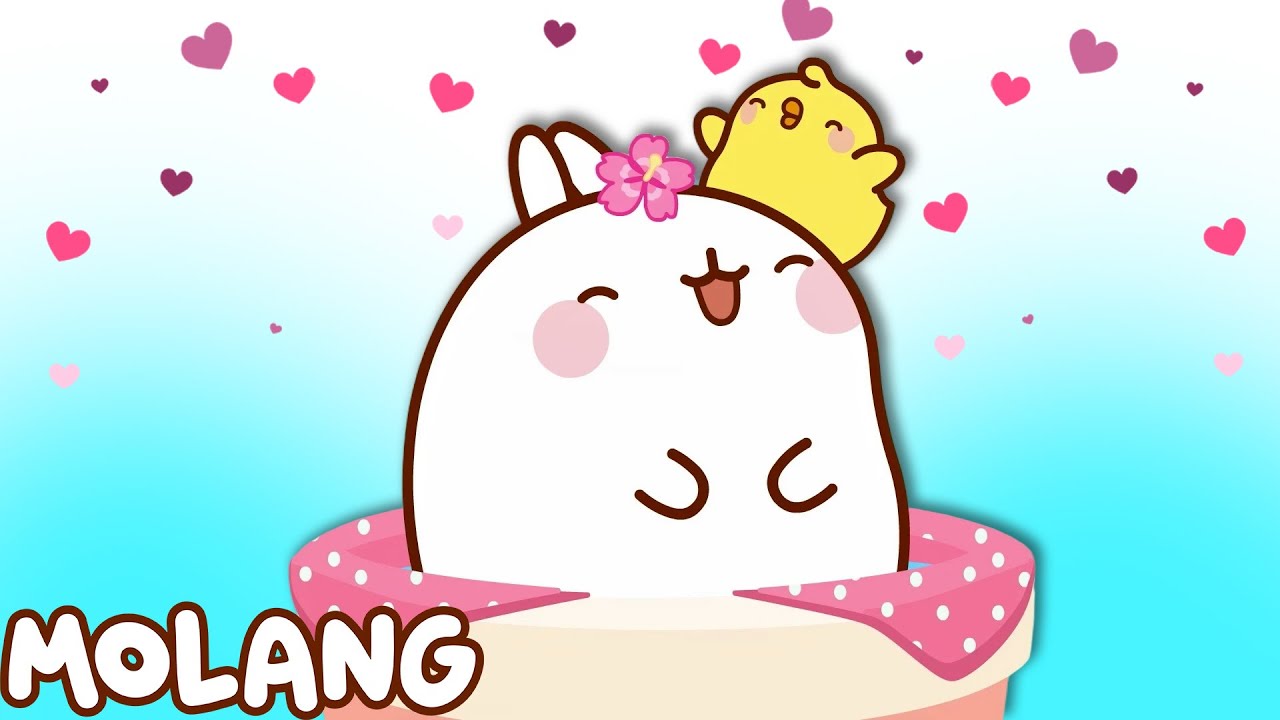 Molang Piu Piu | Funny Cartoons For Kids | 5ª Temporada (Episódios 1 a 20) | Molang Portugese