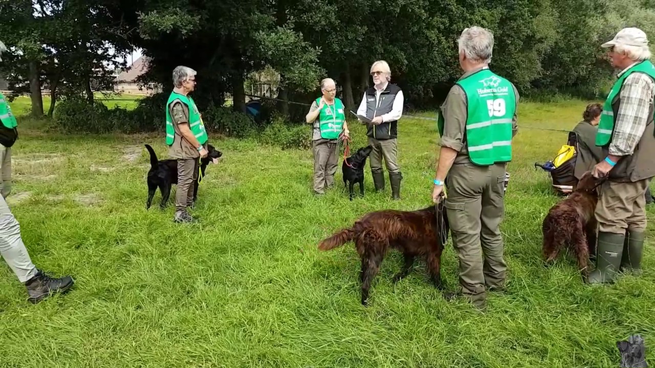 Jachthond In Opleiding De Generale 8 juli 2017