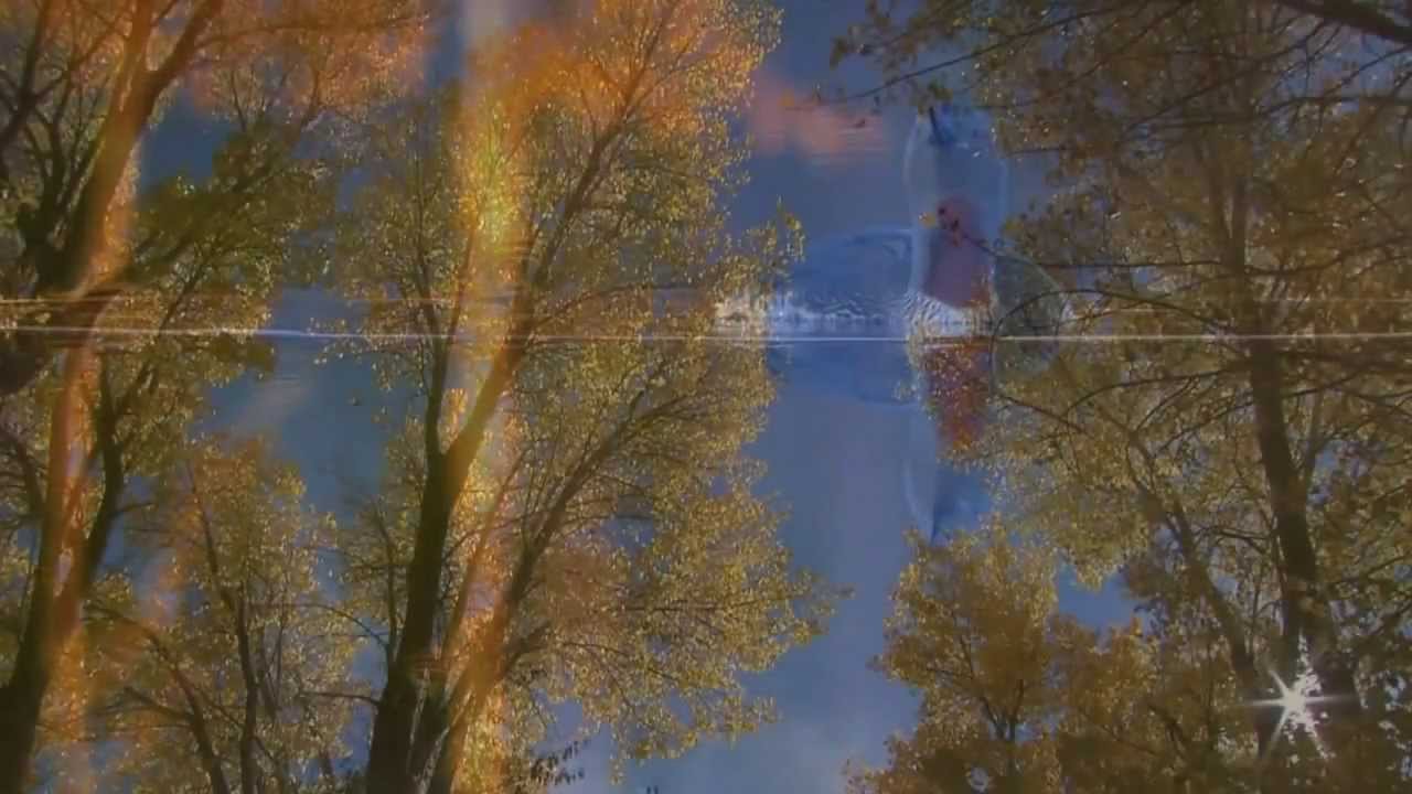 Фредерик  Шопен - Осень...  F.  Chopin - Waltz in A minor