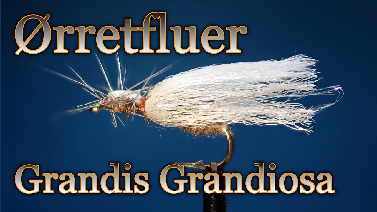Ørretfluer. Grandis Grandiosa size 10. Med Eivind Berulfsen.