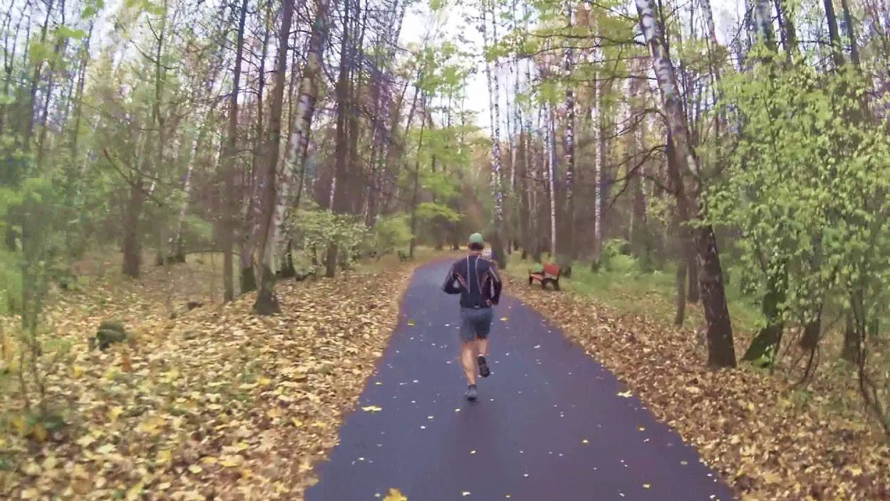 20171021 parkrun &laquo;Битца&raquo; 5 км