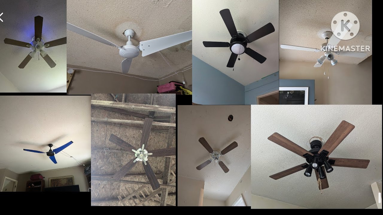Ceiling fans in my house as of June 2025! 8 Ceiling fans in total.