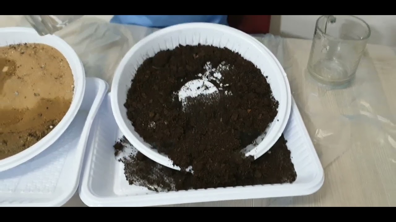 soil erosion experiment for kids