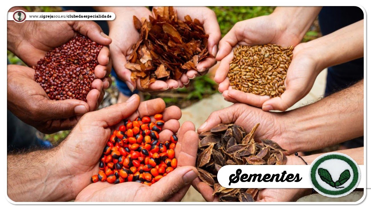 AULINHA: (EN) SEMENTES