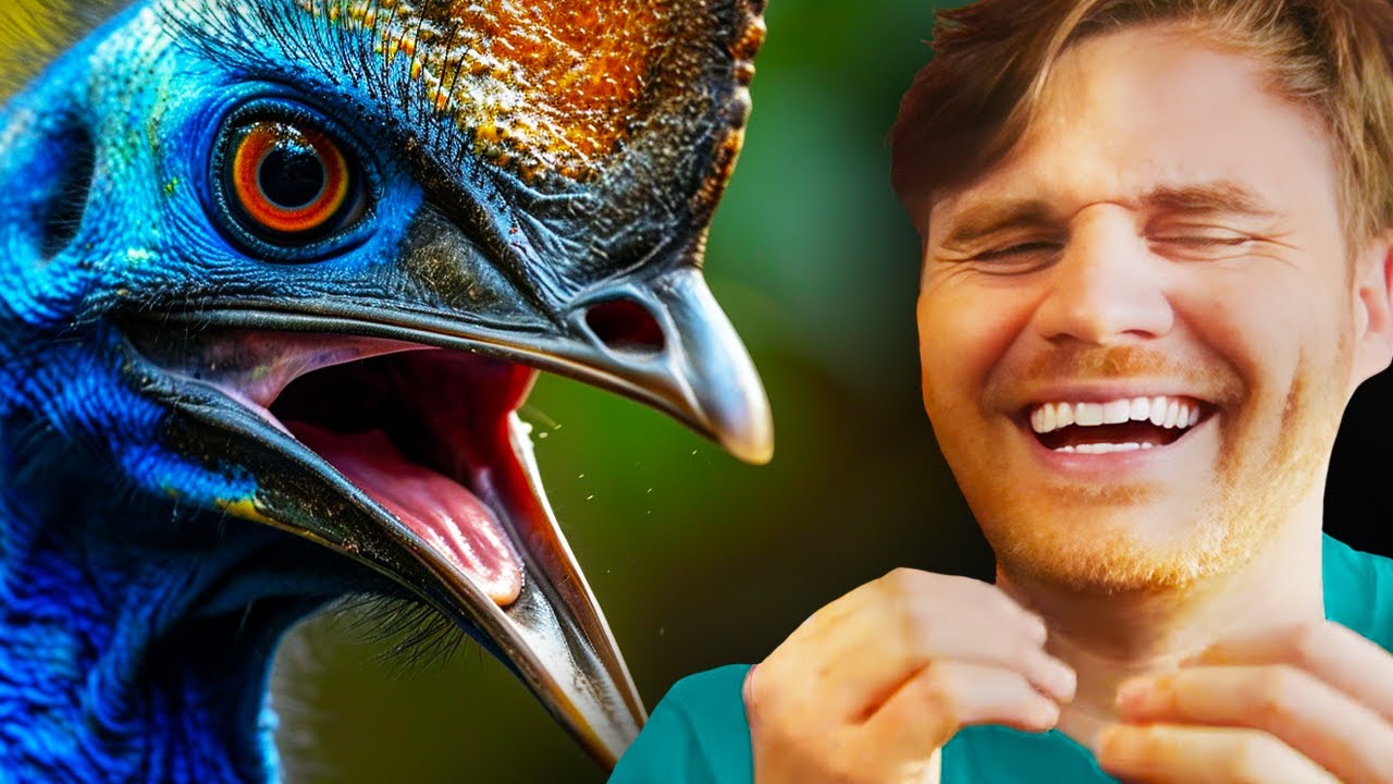 Dinosaurs in Australia?!