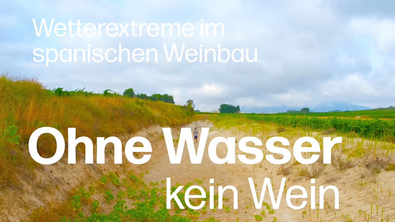 Ohne Wasser kein Wein: Wie das Delinat-Weingut Pago Casa Gran dem Klimawandel trotzt | Englisch