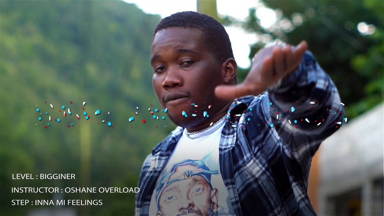 Overload Skankaz  - Inna Mi Feelings Dancehall Step || Ja Legends