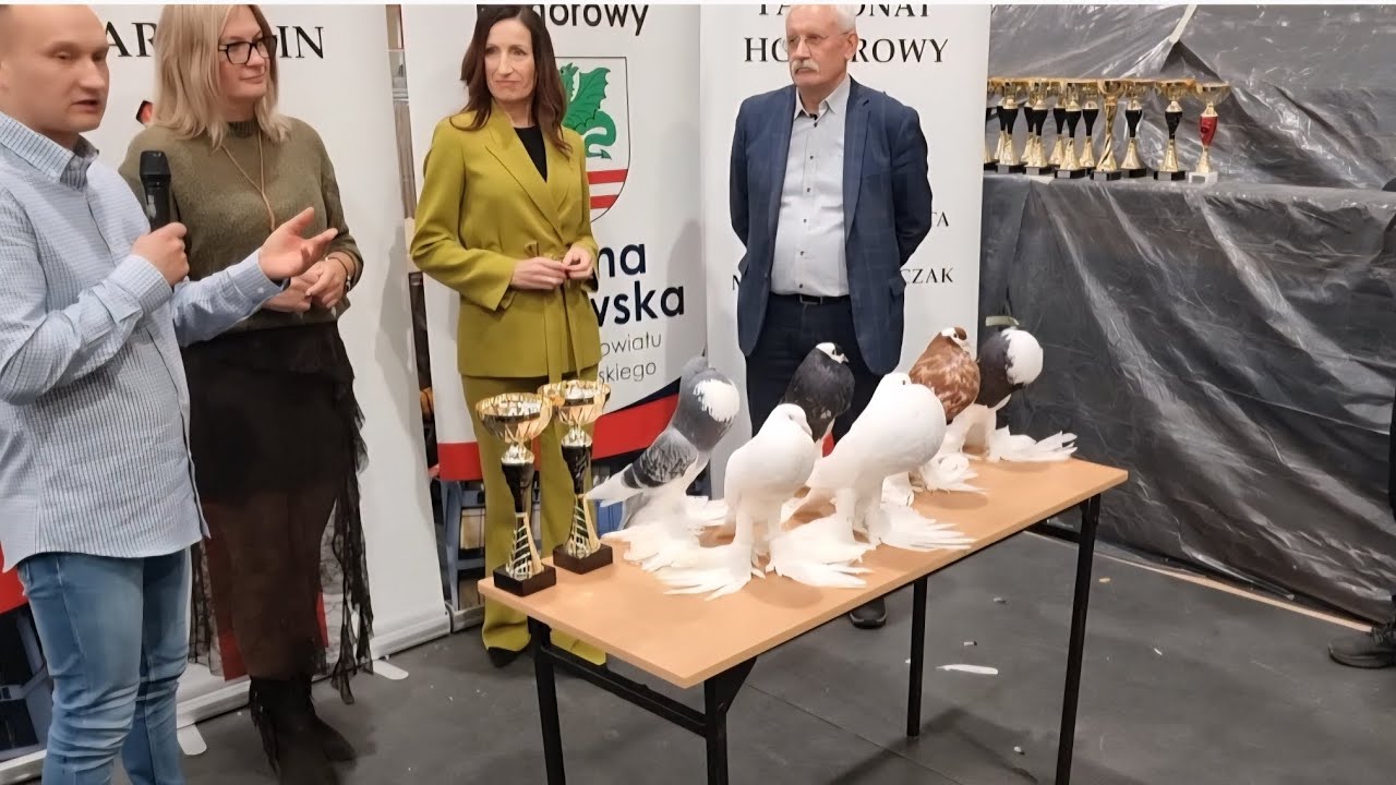 Wystawa gołębi🕊 w Garwolinie  i prezentacja Garłaczy🏆🥇💥