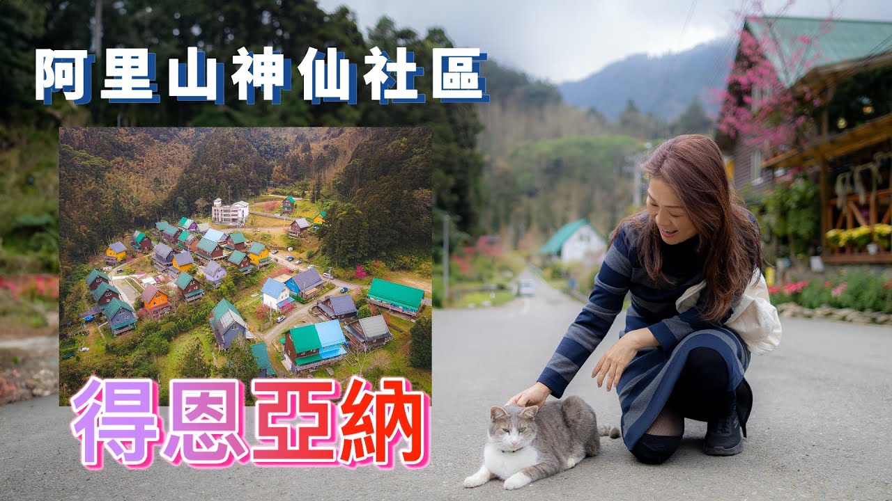 阿里山『得恩亞納』從奮起湖開始再到多林車站