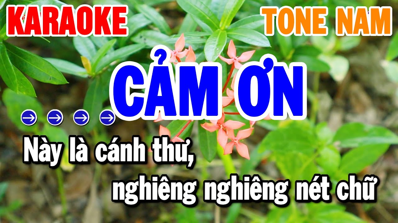 Cảm Ơn Karaoke Tone Nam Nhạc Rumba Chuẩn | Thanh Hải Organ