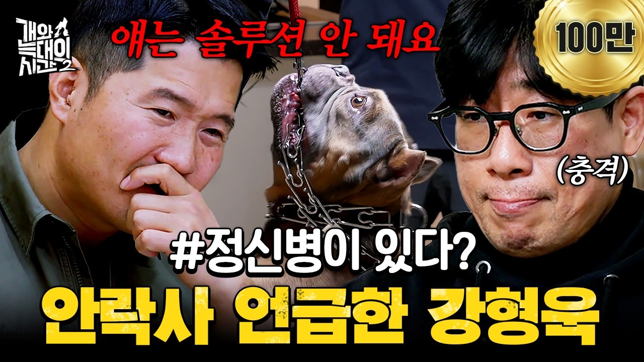 [#클립배송] ※사상 최초로 솔루션 포기※ 안락사까지 거론된 아메리칸 불독의 충격적인 상태 | #개와늑대의시간2 10회