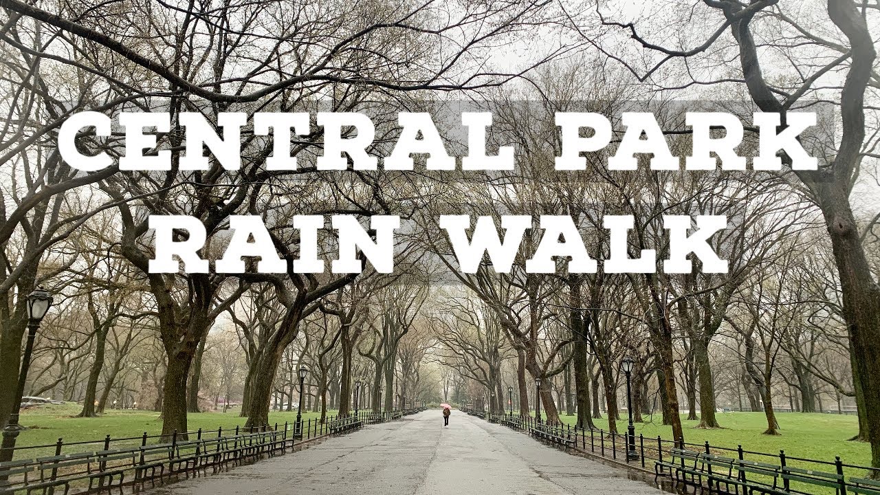 Walking Alone in the Rain in Central Park | NYC Rain Walk