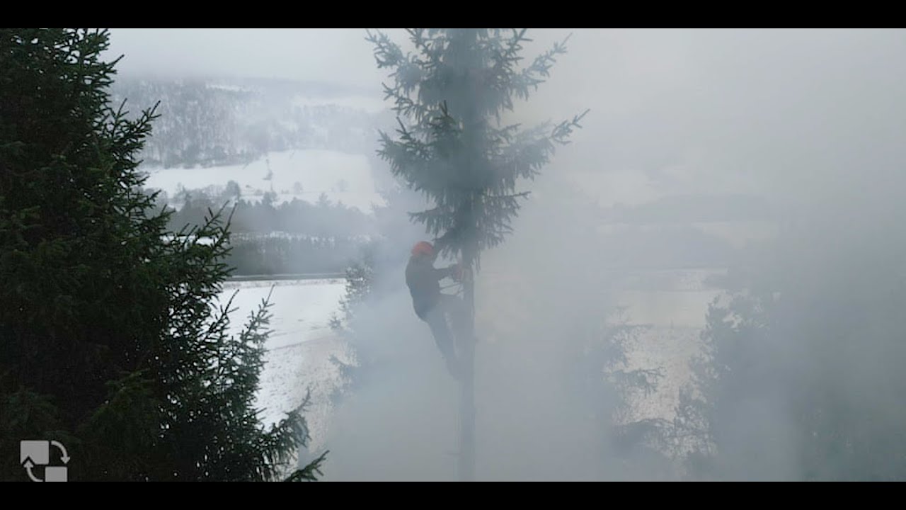 Rewilding Lettoch - Brash Stacking & Burning in Ash Wood